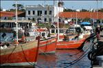 Fishing boats